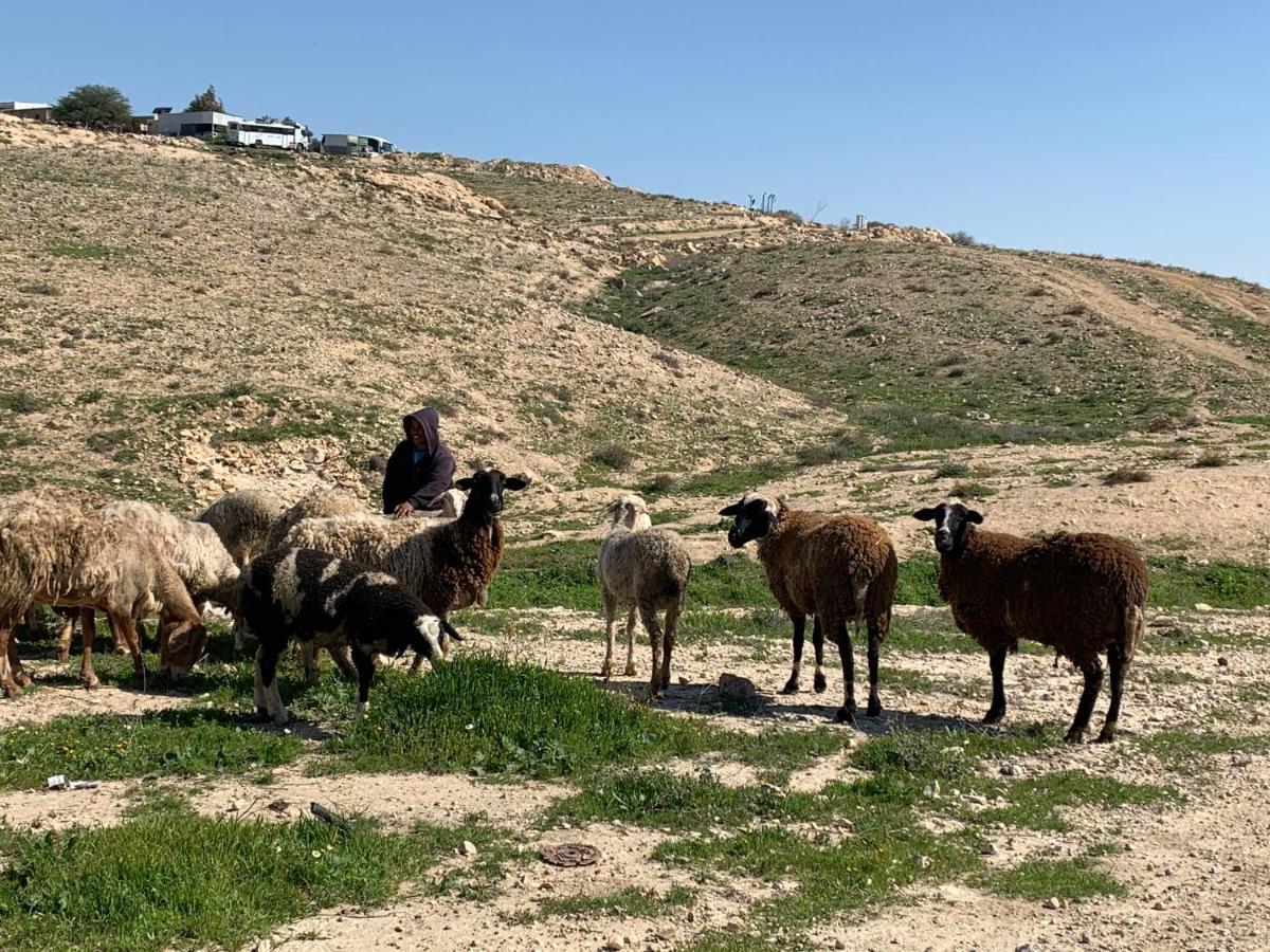 Khan Alsira - חאן אלסרה Esterno foto